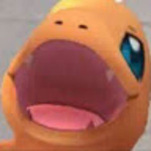 Meet your Posher, Chase